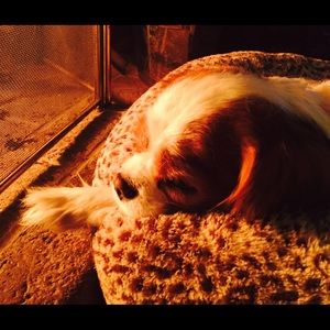 Meet your Posher, Ellen